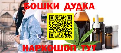 тгк Кингисепп