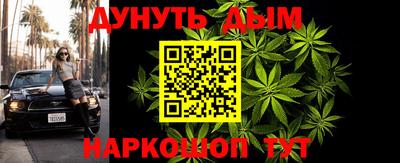 тгк Кингисепп