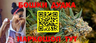 тгк Кингисепп