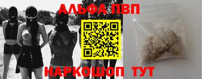 тгк Кингисепп