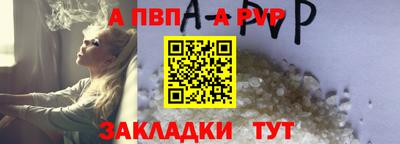 тгк Кингисепп