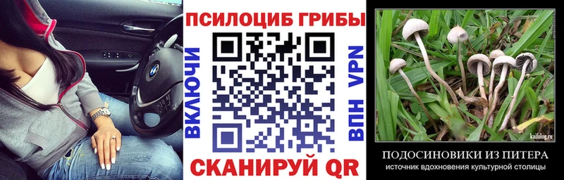 Псилоцибиновые грибы мицелий  закладки  Урус-Мартан 