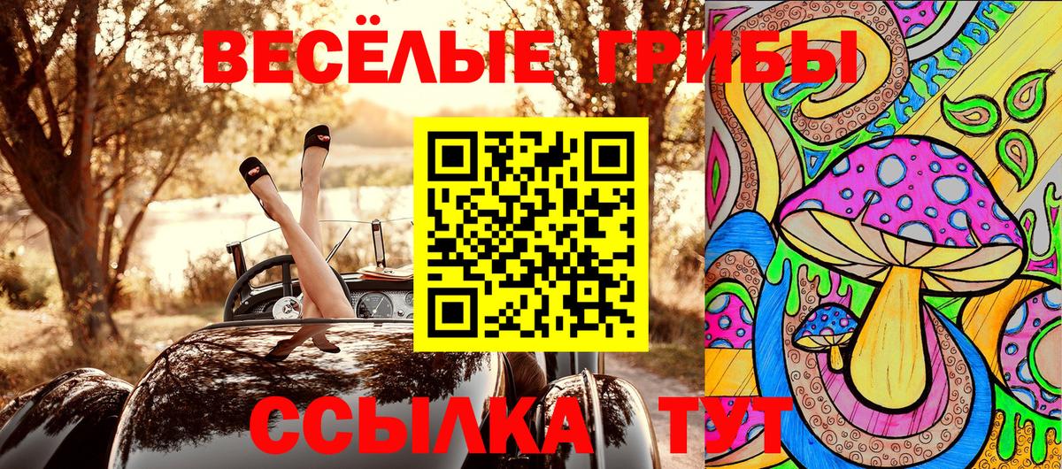 Галлюциногенные грибы мицелий Урус-Мартан