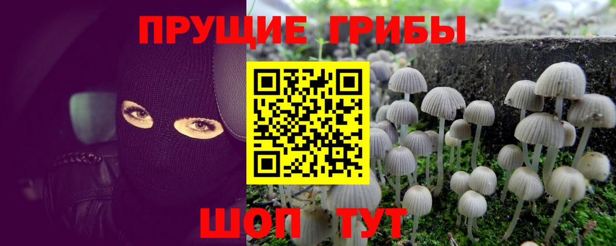 Псилоцибиновые грибы GOLDEN TEACHER  Вход с VPN  Урус-Мартан  Галлюциногенные грибы мицелий 